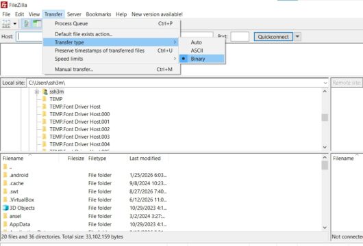 Filezilla Binary mode